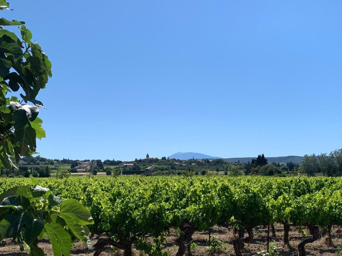 Gites La Ferme De Marguerite Tulette Esterno foto